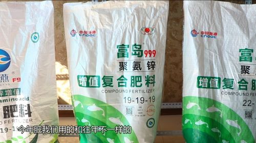 拔出来的增值丰收 从一片沃土看中国化学的创新力量