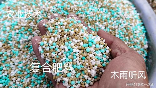 种豆角用什么化学肥料好 科学施肥指南