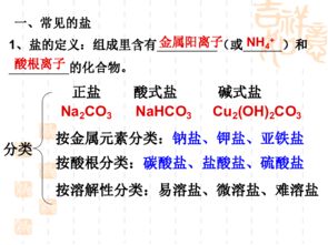 常见的盐和化肥——第13讲化学肥料中考复习指南