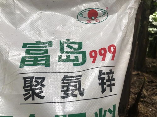 蕉二代增值账 富岛翔燕与百万元背后的化学力量